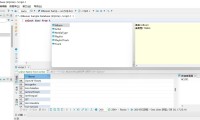 Dbeaver community(数据库管理软件) 官方绿色版（更新至v26.1.1版本）