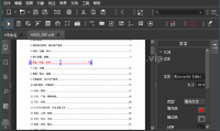 MasterPDFEditor PRO 便携版（更新至v5.9.98版本）