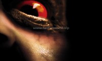 死亡录像2 (2009，西班牙语中字)